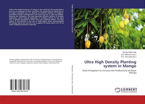 Buy Ultra High Density Planting System In Mango Drip Fertigation To Increase The Productivity