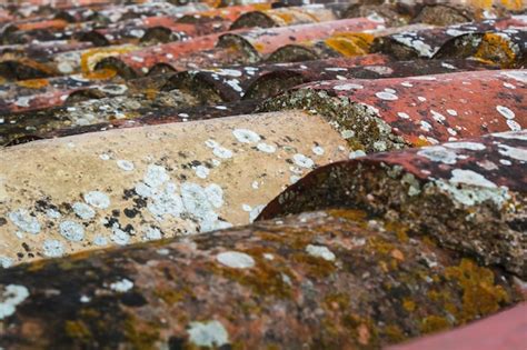 Premium Photo Old Tile Roof Overgrown With Moss And Lichen