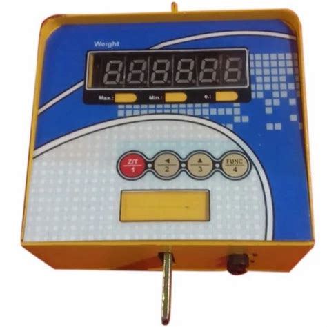 Mild Steel 100 Kg Digital Hanging Scale For Fruit Stalls At Rs 3000 In