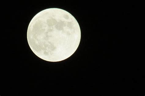 Free Photo Moon Lunar Full Moon Astronomy Crater Detail Full