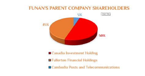 Company Profile Funan Microfinance Plc