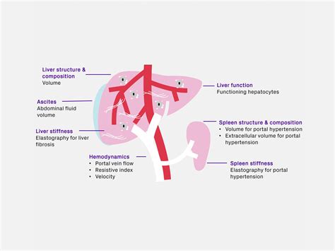 Assessing Treatment Effects In Liver Cirrhosis And Portal Hypertension With An Integrated