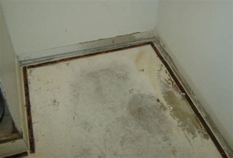 Carpet Water Damage Mold .......Can The Carpet Be Saved?