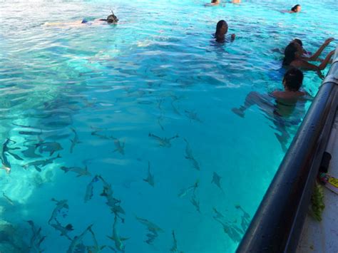 Cook Islands Vacation Packages Far And Away Adventures Cook Islands
