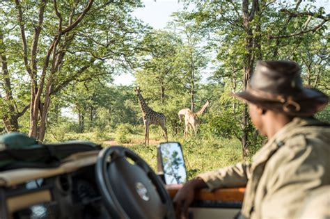 African Wildlife Conservation at Singita