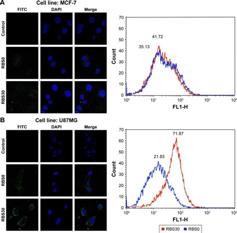 Noninvasive In Vivo Fluorescent Imaging Of A Free Cy