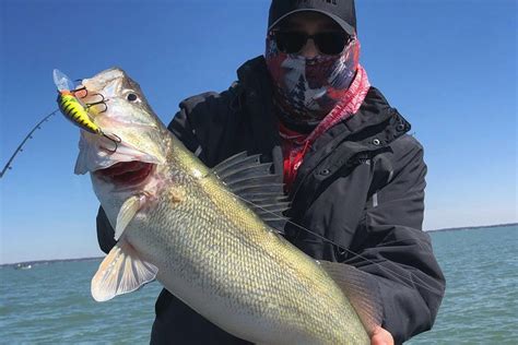 Lake Erie Walleye Fishing Charter