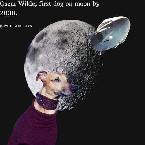 First dog on moon : r/dogecoin