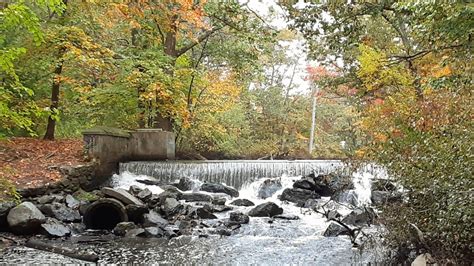 Fall color in Attleboro, Massachusetts : r/AttleboroMA