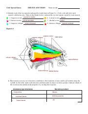 Kami Export Ashley Franklin Senses Coloring Packet Pdf Ch