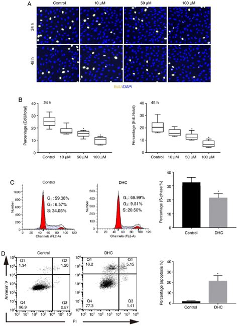 DHC Inhibits The Proliferation And Induces The Apoptosis Of MDA MB 231