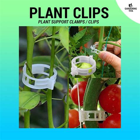 (10 pcs) Reusable Plant Clips - For Hanging Vine Plants / Vegetables ...