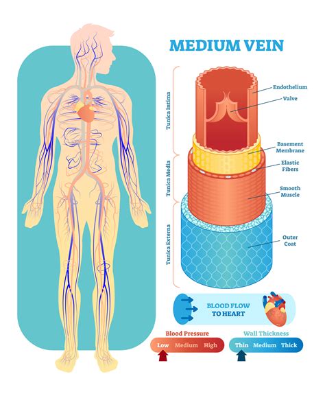 Stop Blowing Veins! How Not to Blow Veins When Starting an IV — The IV Guy