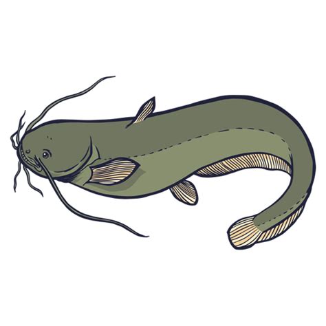 European Catfish Stroke Transparent PNG SVG Vector File