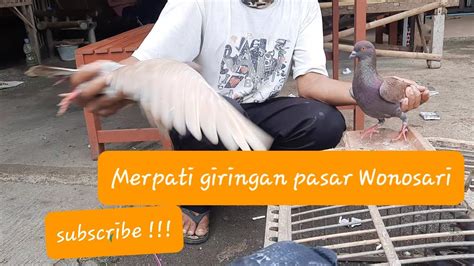 Grebek Survey Merpati Giringan Di Pasar Pring Wonosari Gunung Kidul