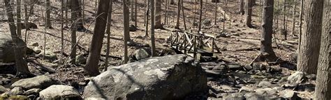 Campgaw Mountain Campground Trail, New Jersey - 692 Reviews, Map ...