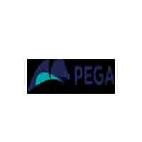 Pega CRM | Top CRM Software | Pricing, Reviews and Demo