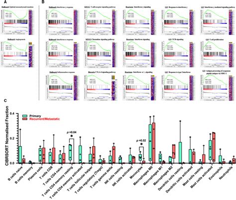 Transcriptomebased Functional Gene Set And Immunological Analysis Of