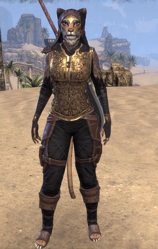 Elder Scrolls Art Elder Scrolls Online Types Of Armor Dragon Knight