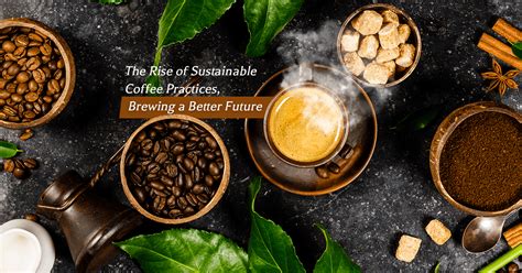 The Rise Of Sustainable Coffee Practices Brewing A Better Future