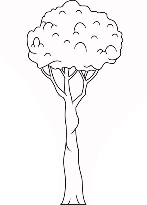 Coloriage Grand Arbre télécharger et imprimer gratuit sur