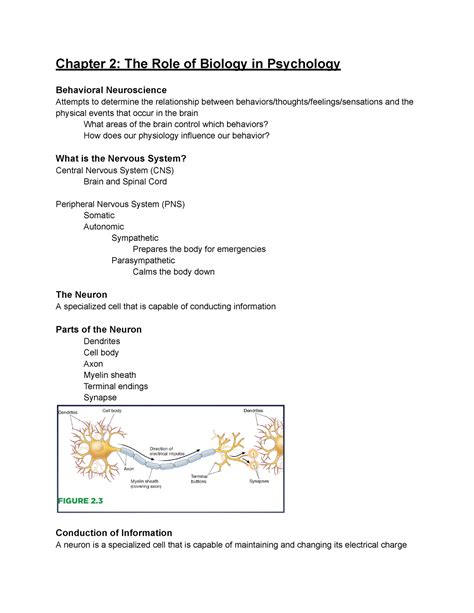 Psychology Chapter 2 Chapter 2 The Role Of Biology In Psychology