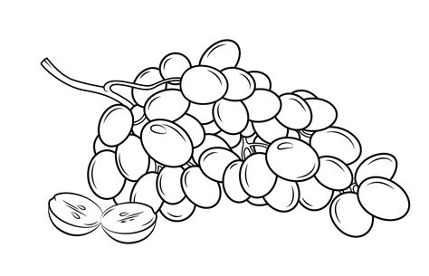 Grapes Coloring Pages Best Coloring Pages For Kids