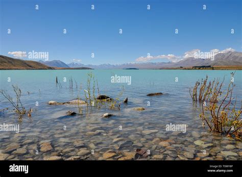 Lake Tekapo New Zealand In The Mackenzie Basin On The South Island