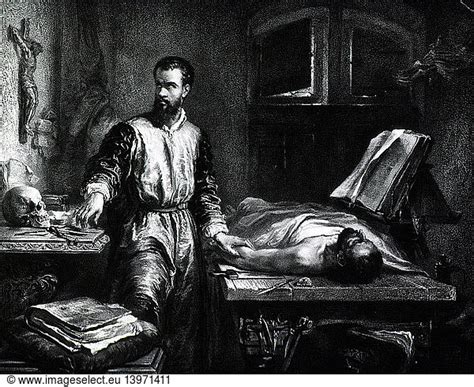 Andreas Vesalius Andreas Vesalius Flemish Anatomist