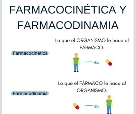 Introduccion Conceptos Fundamentales De Farmacolog A Qu Necesitas