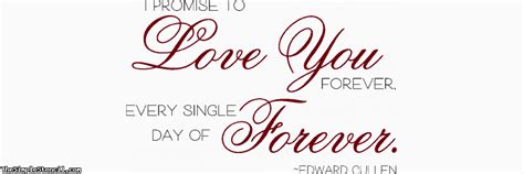 I Promise To Love You Every Single Day Of Forever Romantic Wall Quote Decal Romantic Wall