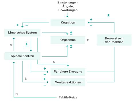 Wie Man Mit Angst Vor Sex Coitophobie Umgeht Selfapy