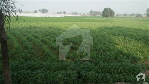 Agricultural Land Is Available For Sale Others Multan ID16046938