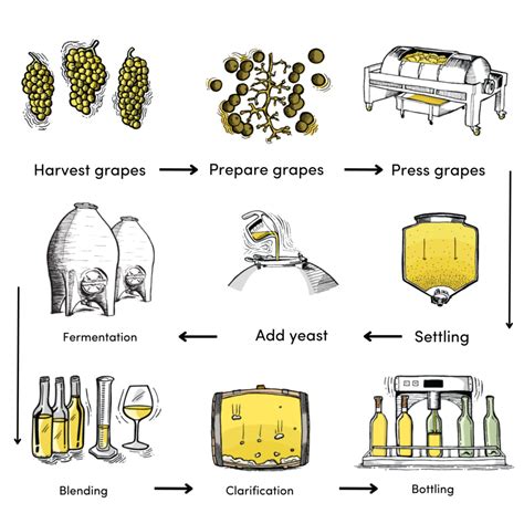 So Let S Chat About The White Wine Making Process De Iuliis Wines