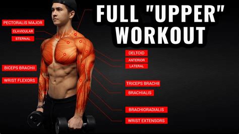 The Best Upper Body Workout Routine and Exercises