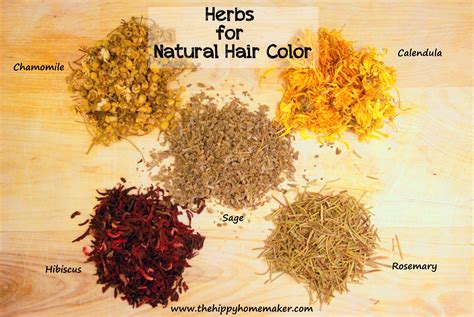 Natural Herbal Hair Color For Healthy Hair Hippy Natural Hair Care