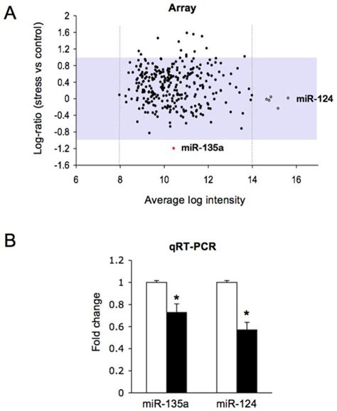 A The Differential Expression Of Mature MiRNAs In The Amygdala Was