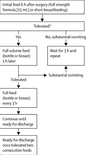 Ramstedt Pyloromyotomy