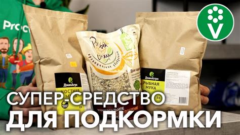 НИКАКОЙ ХИМИИ В ОГОРОДЕ! Лучшие НАТУРАЛЬНЫЕ удобрения! - YouTube