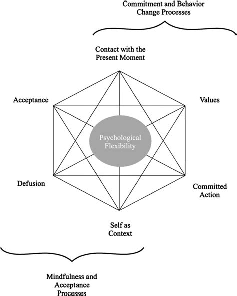 Figure 1 From The Application Of Acceptance And Commitment Therapy To Obsessive Compulsive