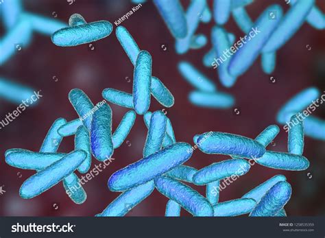 Bacteria Citrobacter Gramnegative Coliform Bacteria Enterobacteriaceae