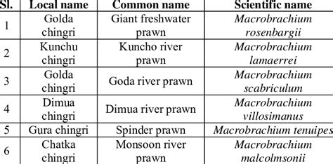 List of Crustacean species observed in the Pultakana fish landing ...