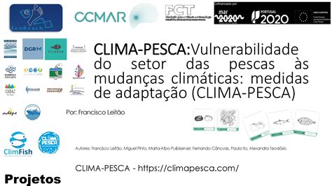 Clima Pesca Vulnerabilidade Do Setor Das Pescas às Mudanças Climáticas