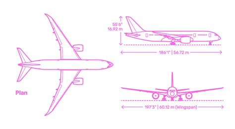 Boeing 787 8 Dreamliner Dimensions Drawings 50 Off