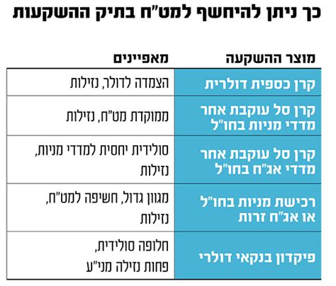 למה האירו מתחזק ואיך אפשר להרוויח מזה גלובס