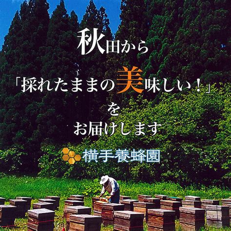 【楽天市場】【ふるさと納税】アカシアはちみつボトル 計500g（300g×1本＋200g×1本）：秋田県横手市