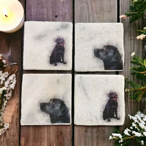 Black Labrador Coasters Set Cute Marble Coasters With Labrador Face