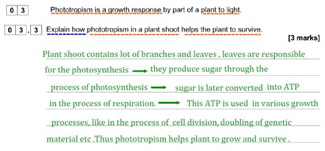 Aqa Gcse June 2019 Higher Biology Past Paper 2 Questions And Answers