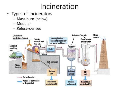 Ppt Solid And Hazardous Wastes Powerpoint Presentation Free Download