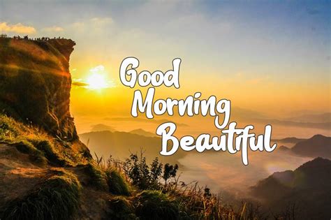 Top 55 Best Good Morning Beautiful Images And Quotes Funzumo